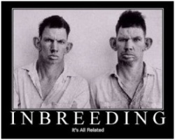 Inbreeding: It’s all related