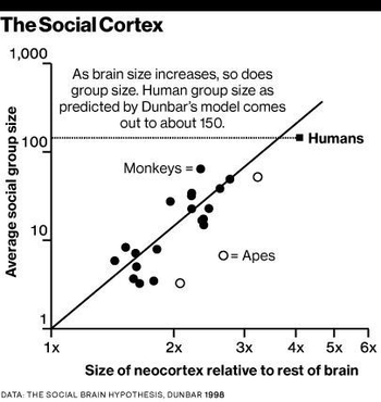 Social group size vs. neocortex volume